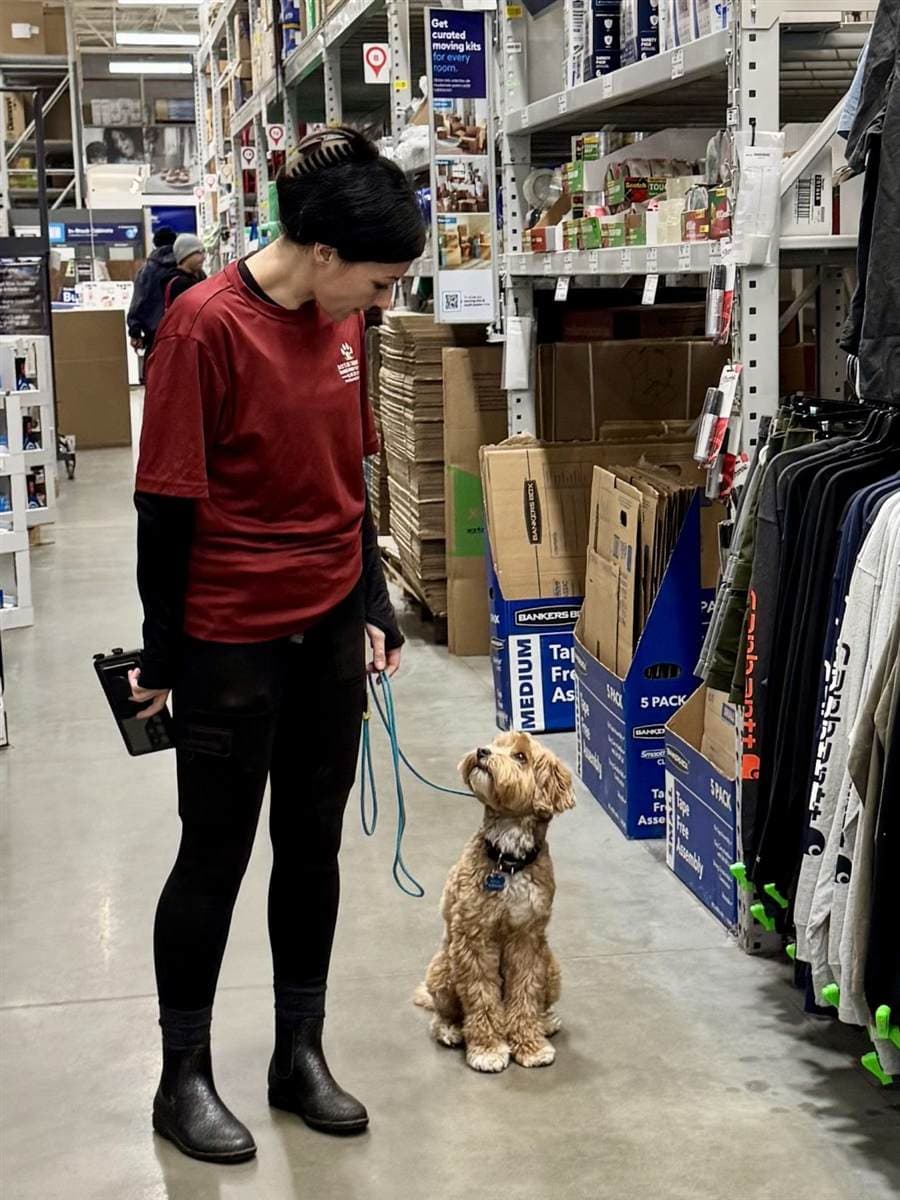 Service Dog Training