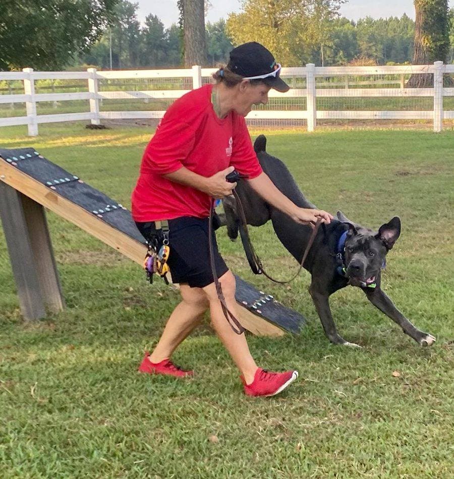 Obedience Training