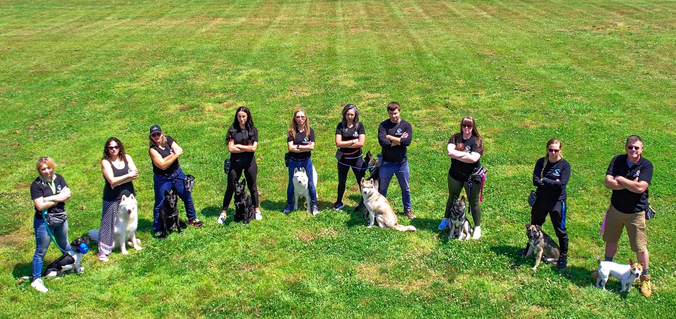 Off-Leash Recall
