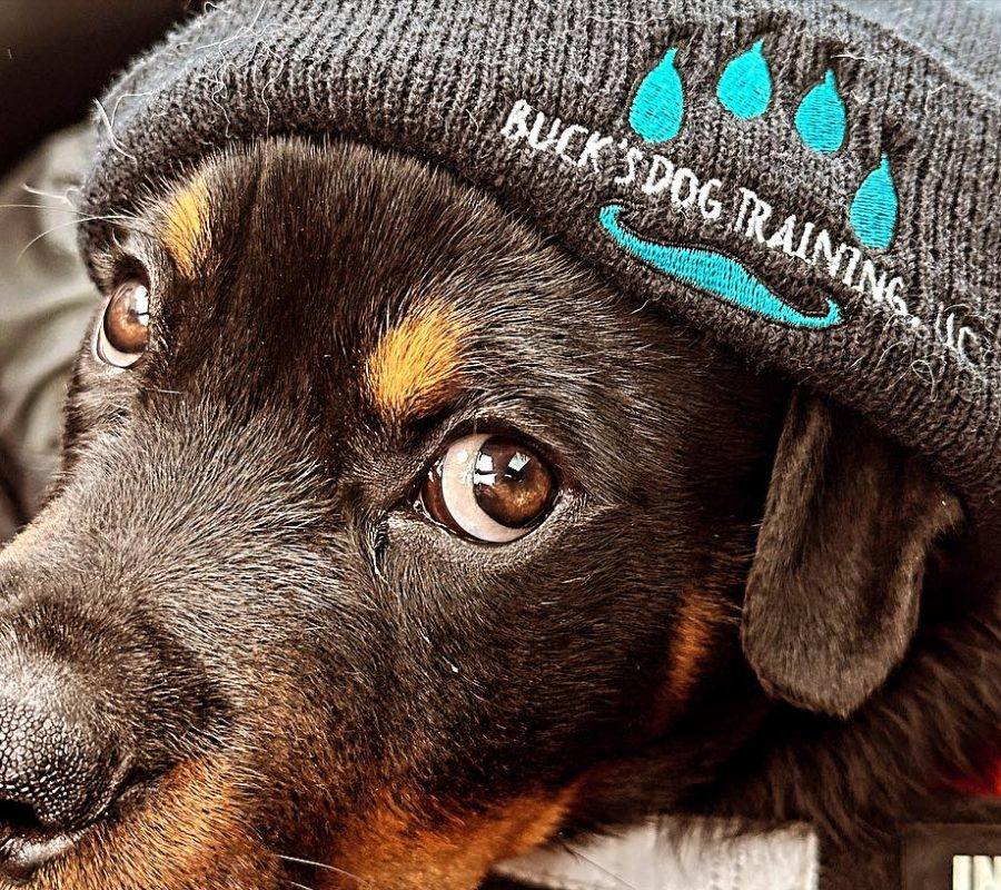 Repping the Buck’s beanie
