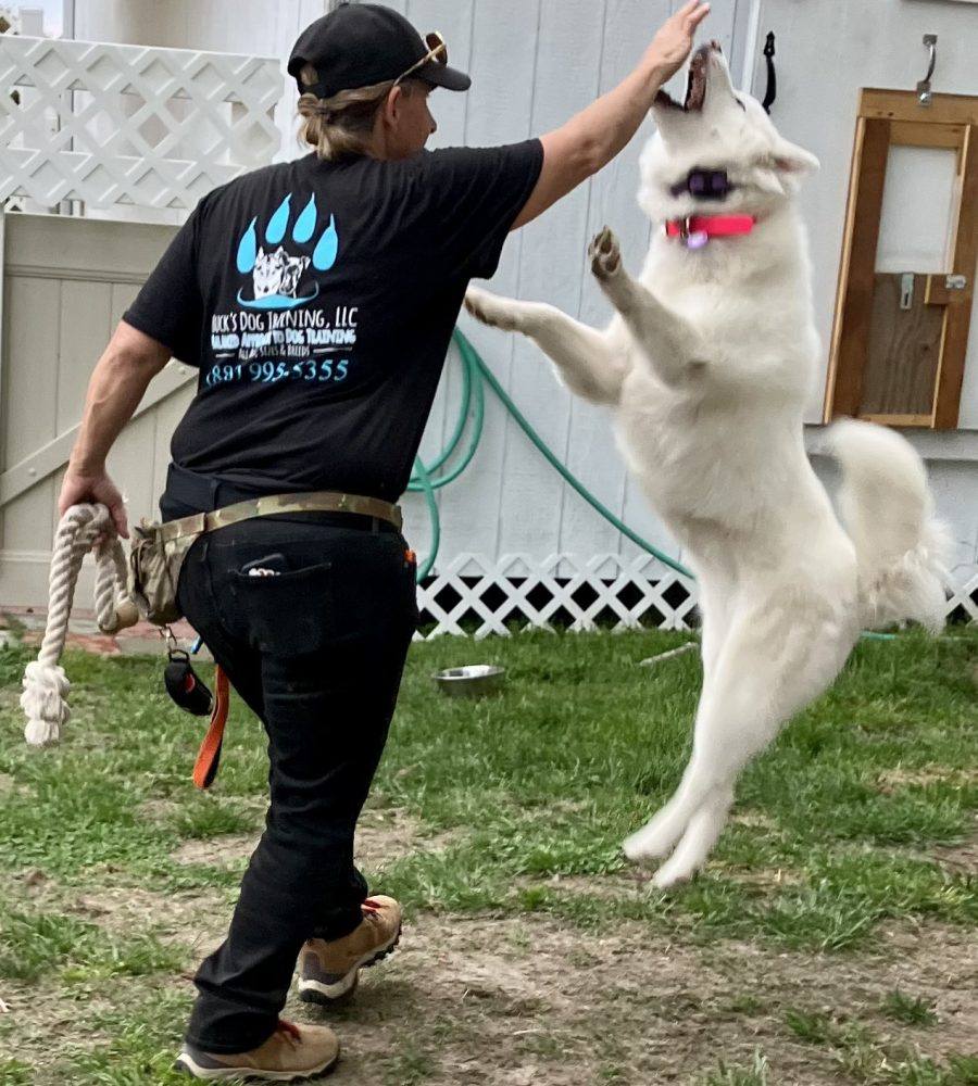 Pure joy, mid-air