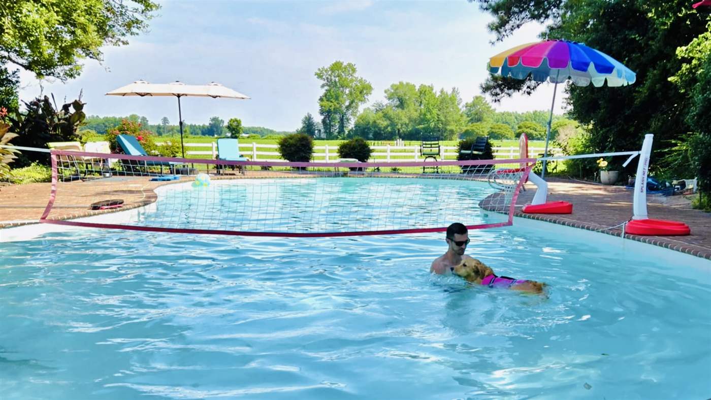 Pool day at the farm